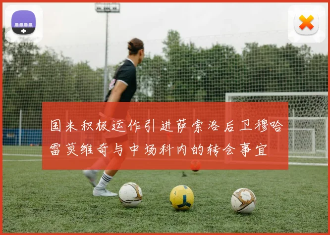 国米积极运作引进萨索洛后卫穆哈雷莫维奇与中场科内的转会事宜