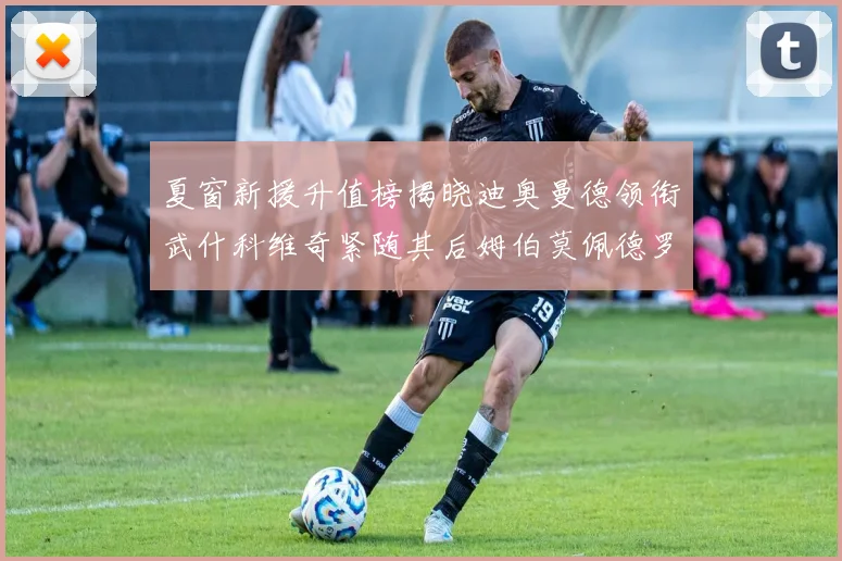 夏窗新援升值榜揭晓迪奥曼德领衔武什科维奇紧随其后姆伯莫佩德罗表现抢眼