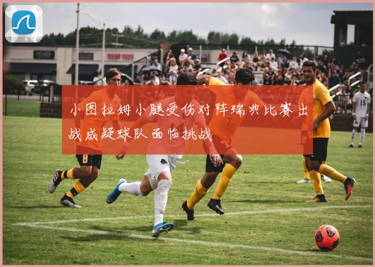 小图拉姆小腿受伤对阵瑞典比赛出战成疑球队面临挑战